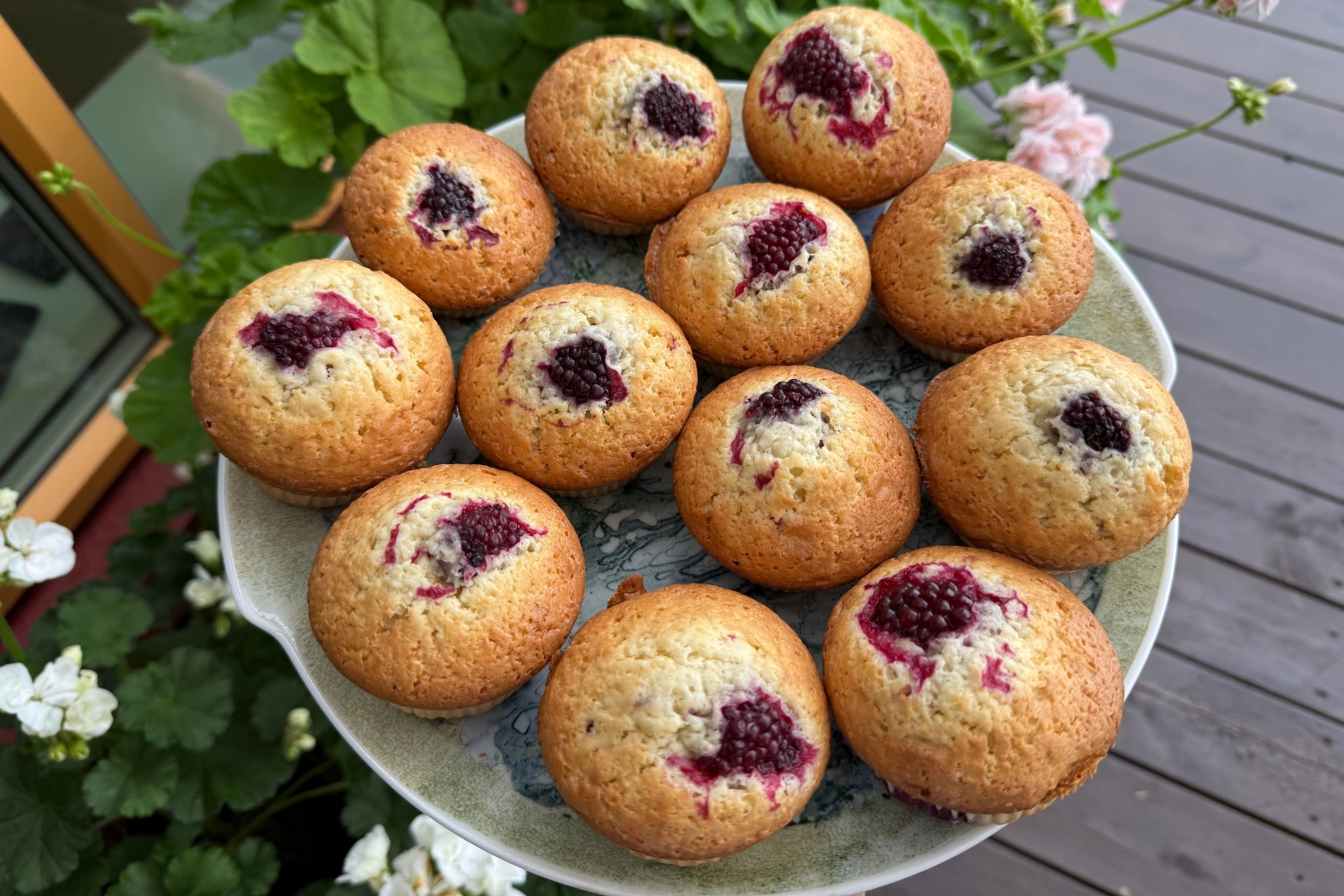 Björnbärsmuffins