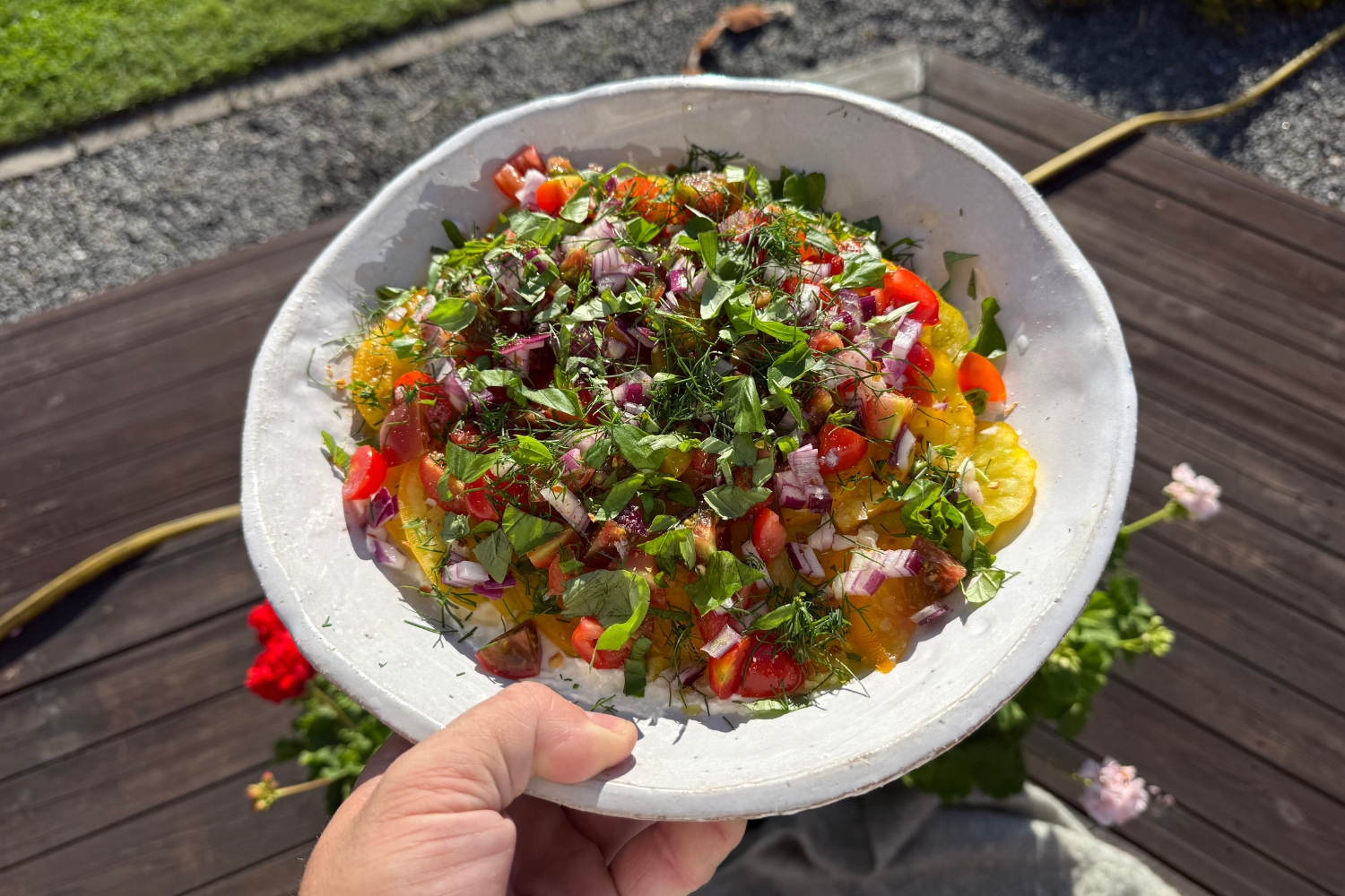 Tomatsallad med vispad burrata och dill Tomatsallad med vispad burrata och dill