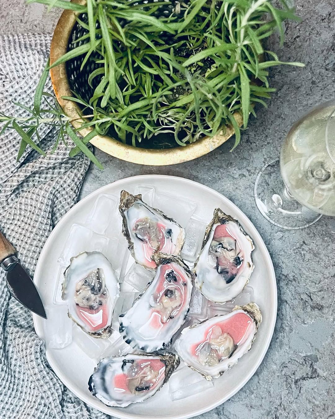 Ostron med leche de tigre