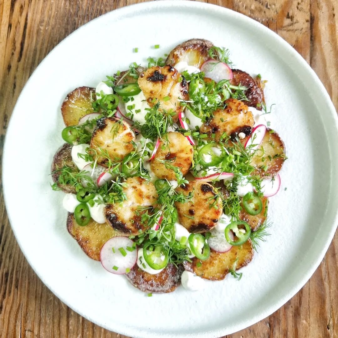 Pilgrimsmusslor med råstekt potatis och chevrefärskost