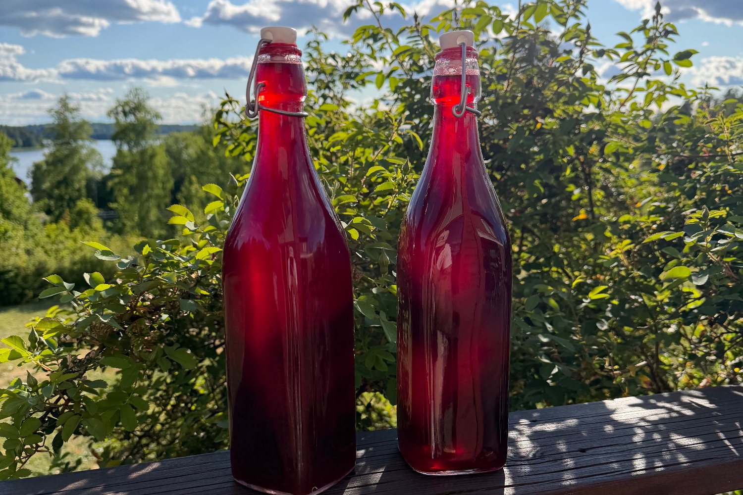 Röda vinbär- och jordgubbssaft