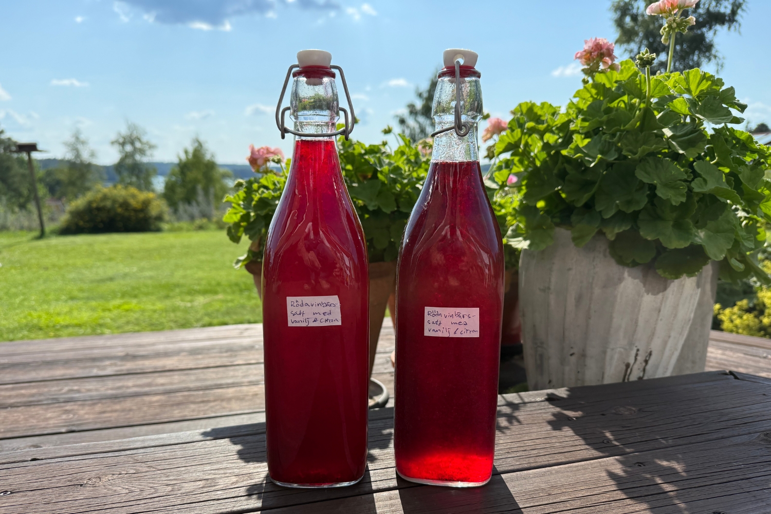 Rödvinbärssaft med Vanilj och Citronzest