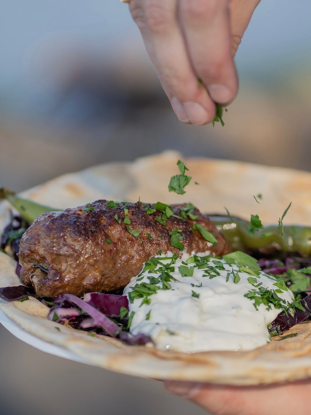 Shish kebab över öppen eld med tillbehör